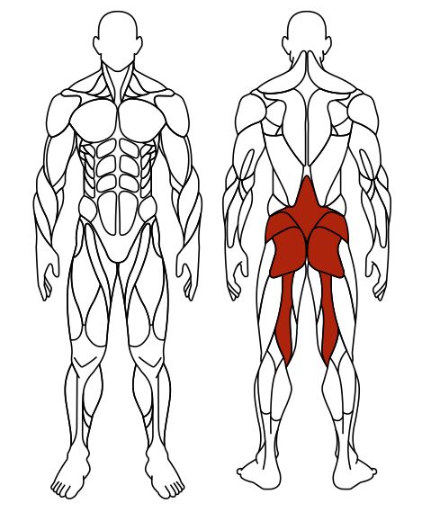 СТ 003 Гиперэкстензия.JPG