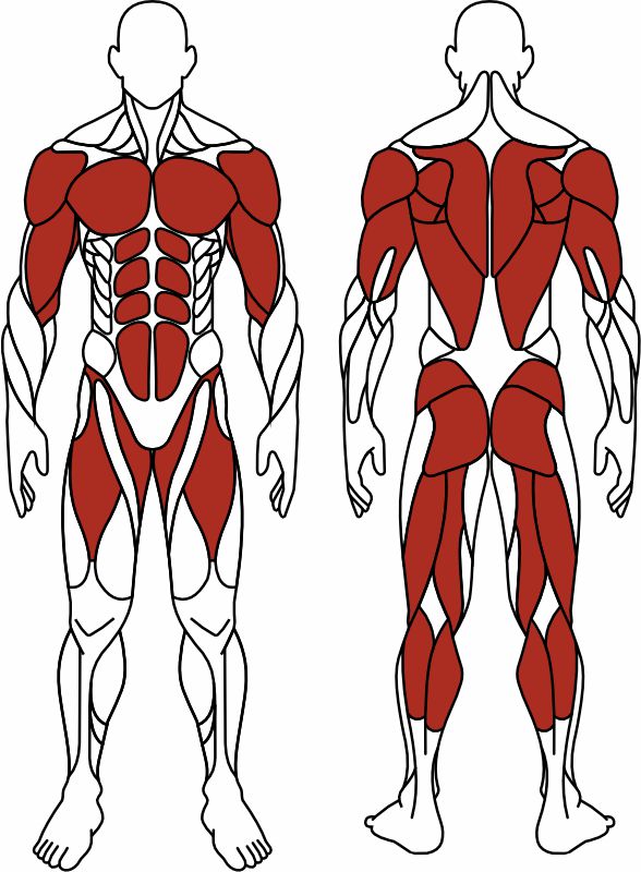 СТ 033 Наездник СТ 033 Наездник